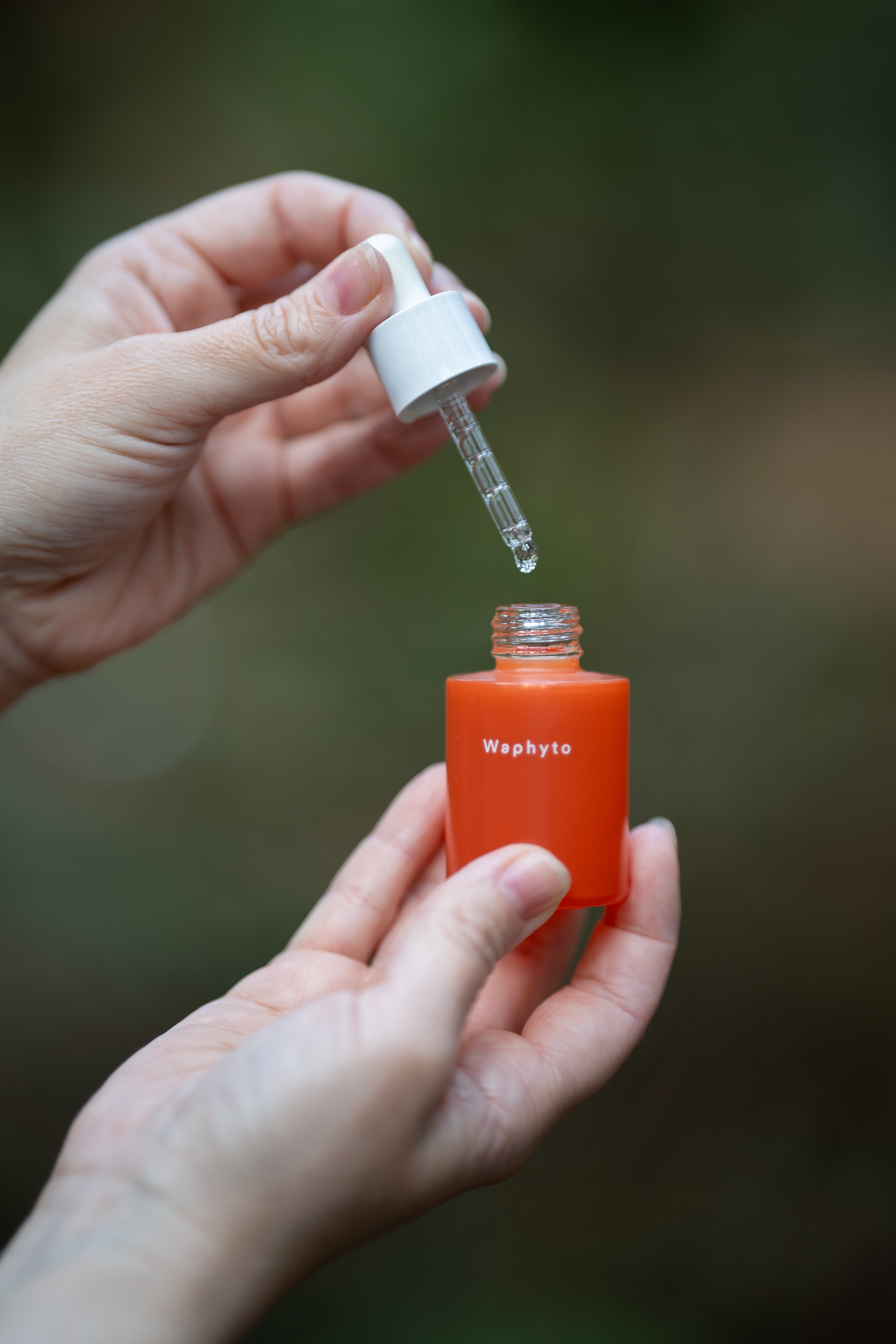 Regena Enriched Facial Oil – Waphyto North America